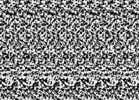 stereogram pair illusion