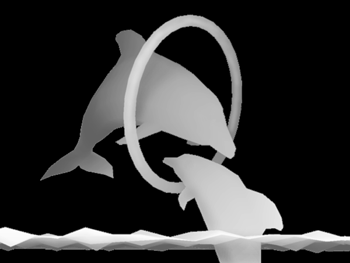 stock_dolphins_hoop_h_350x262.png